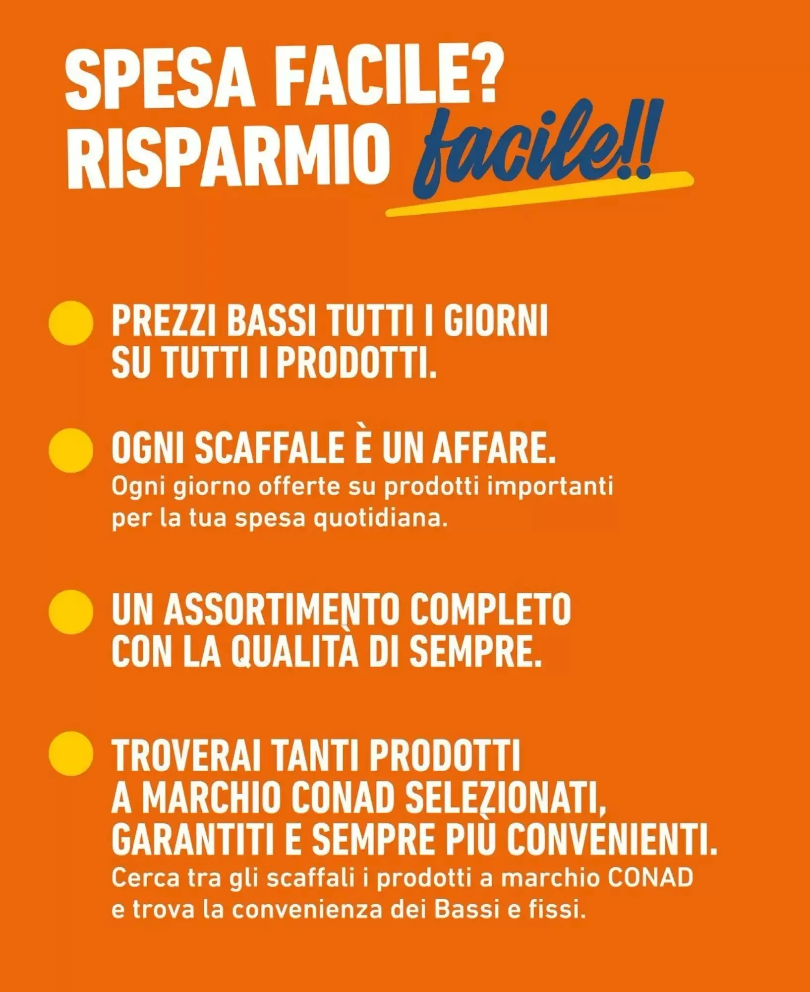 Volantino Spesa Facile Conad Volantino Spesa Facile Conad pagina 2