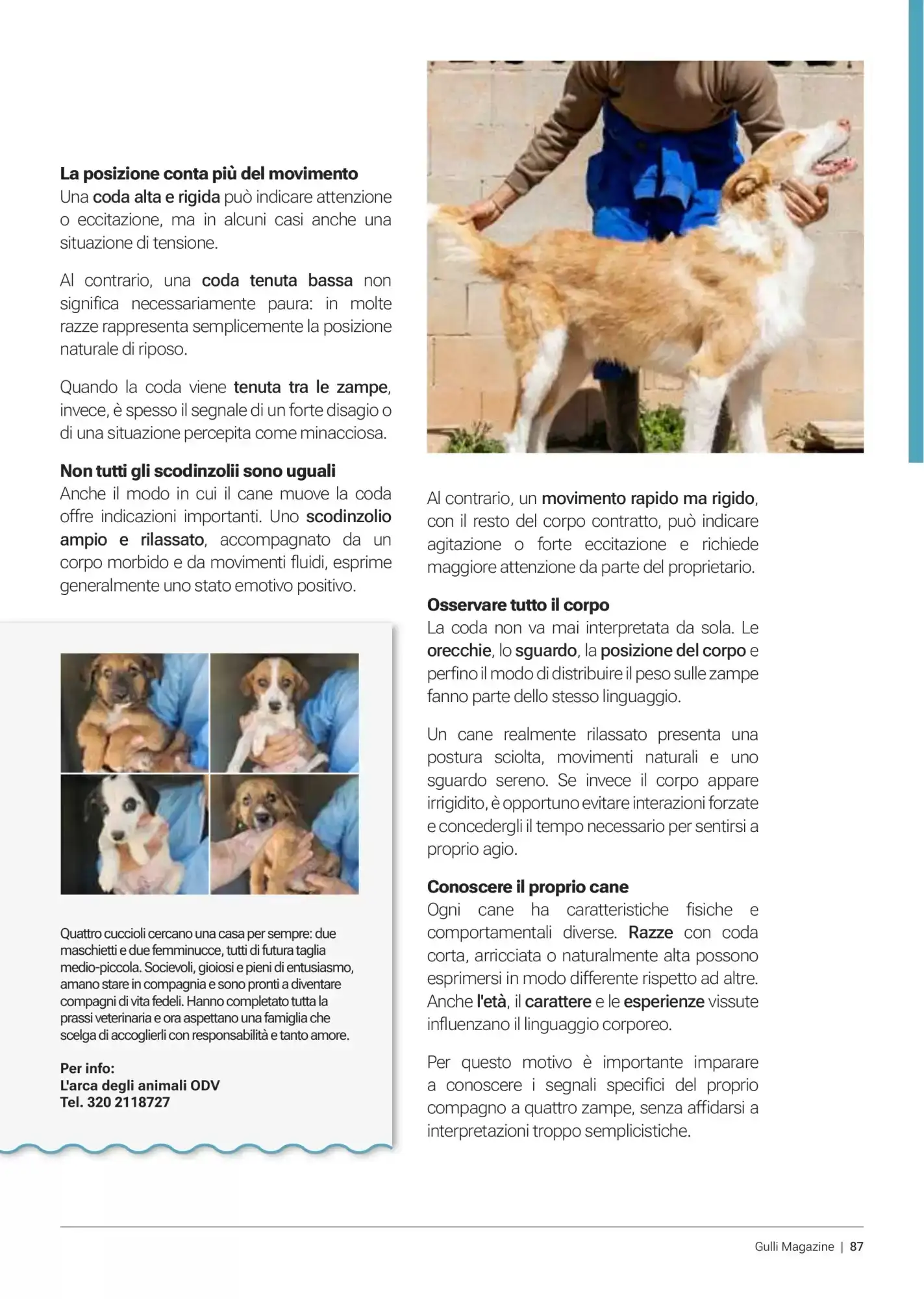 Volantino Supermercati Gulliver Volantino Supermercati Gulliver pagina 86