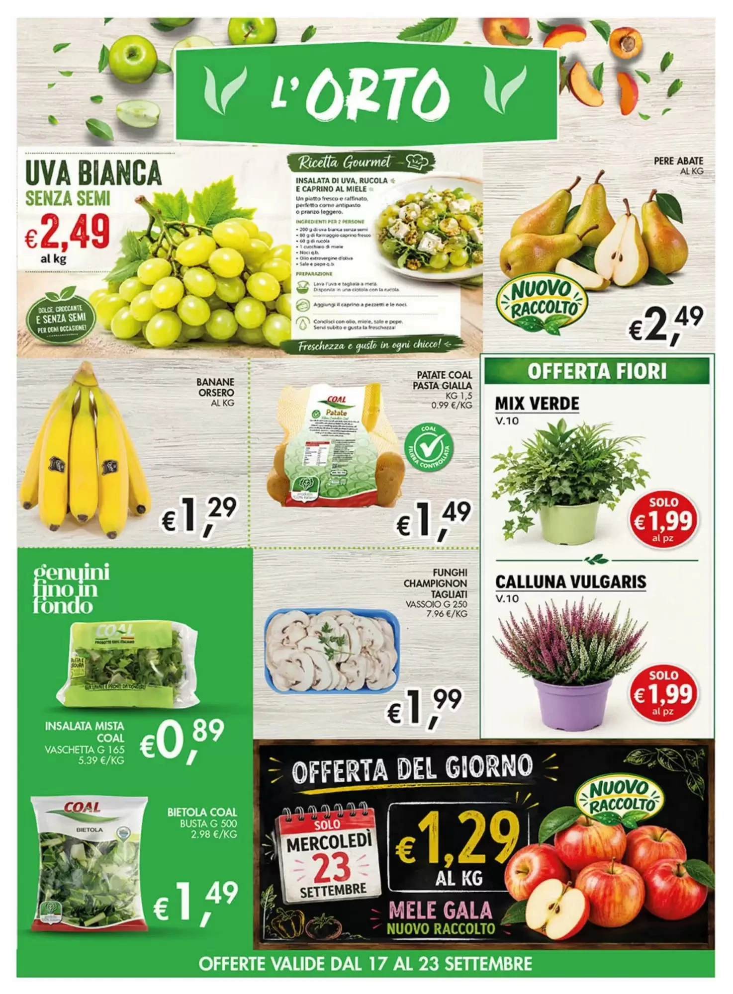 Volantino Supermercato Coal Volantino Supermercato Coal pagina 7