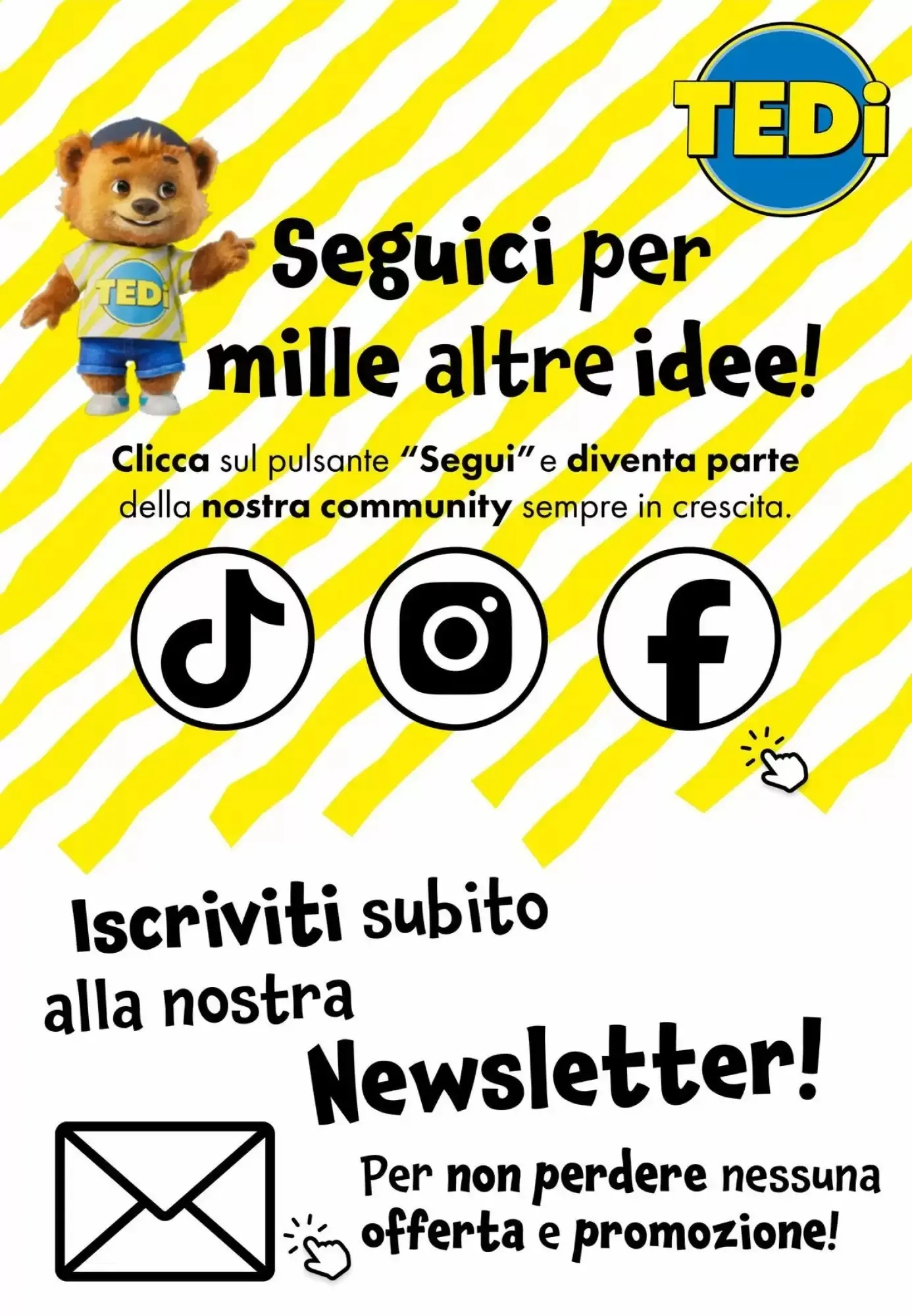 Volantino Tedi Volantino Tedi pagina 17