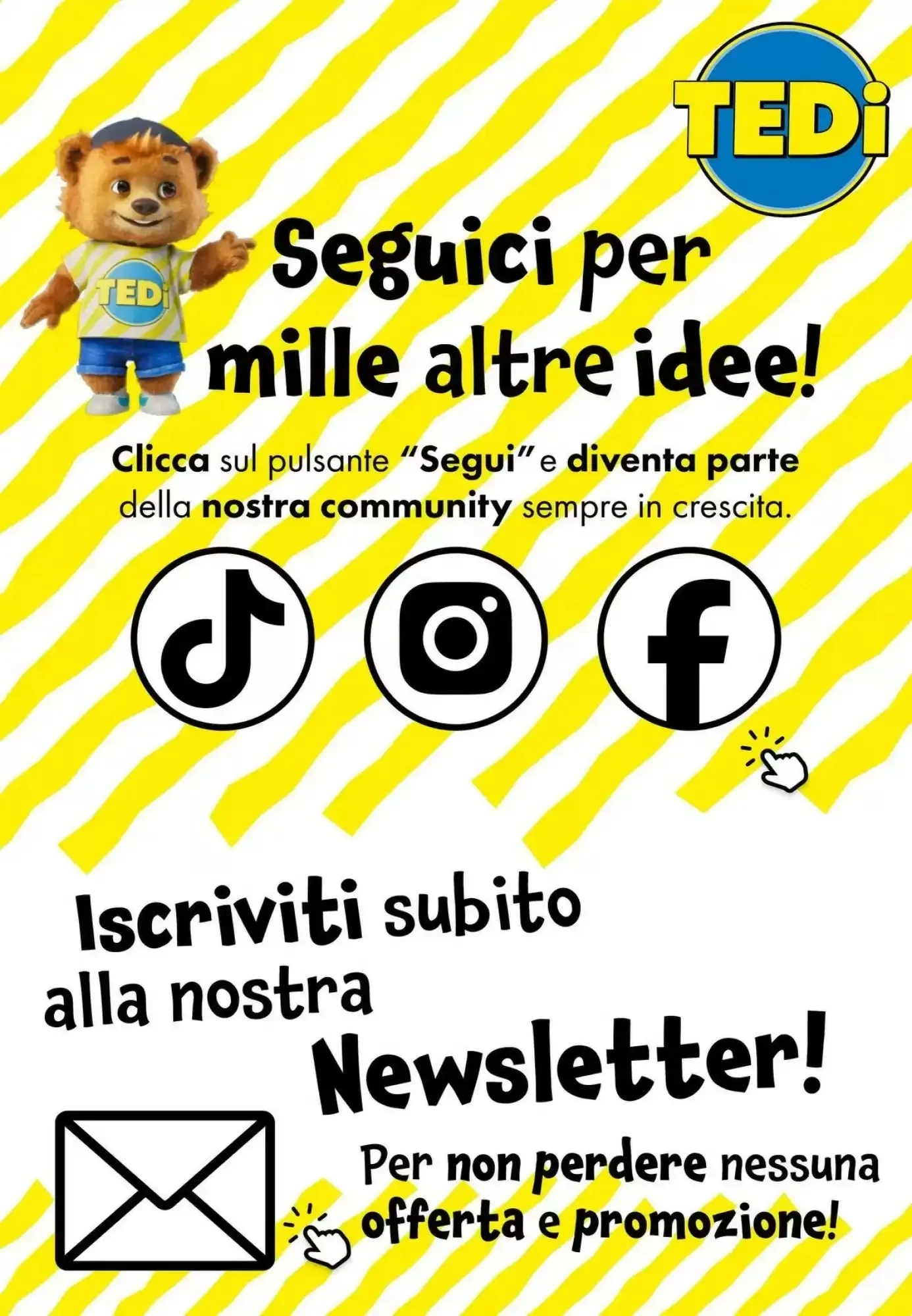 Volantino Tedi Volantino Tedi pagina 16