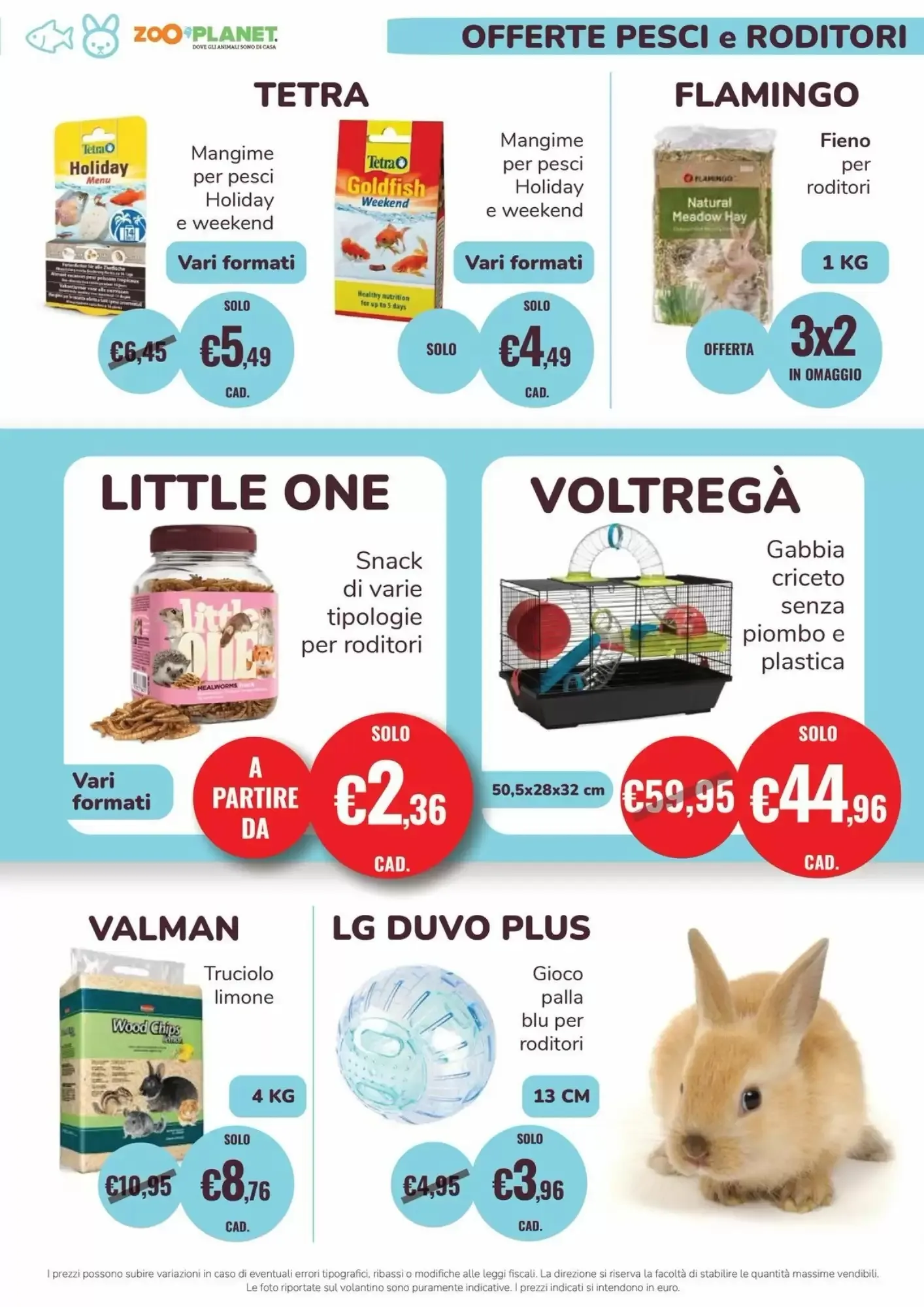 Volantino Zooplanet Volantino Zooplanet pagina 13