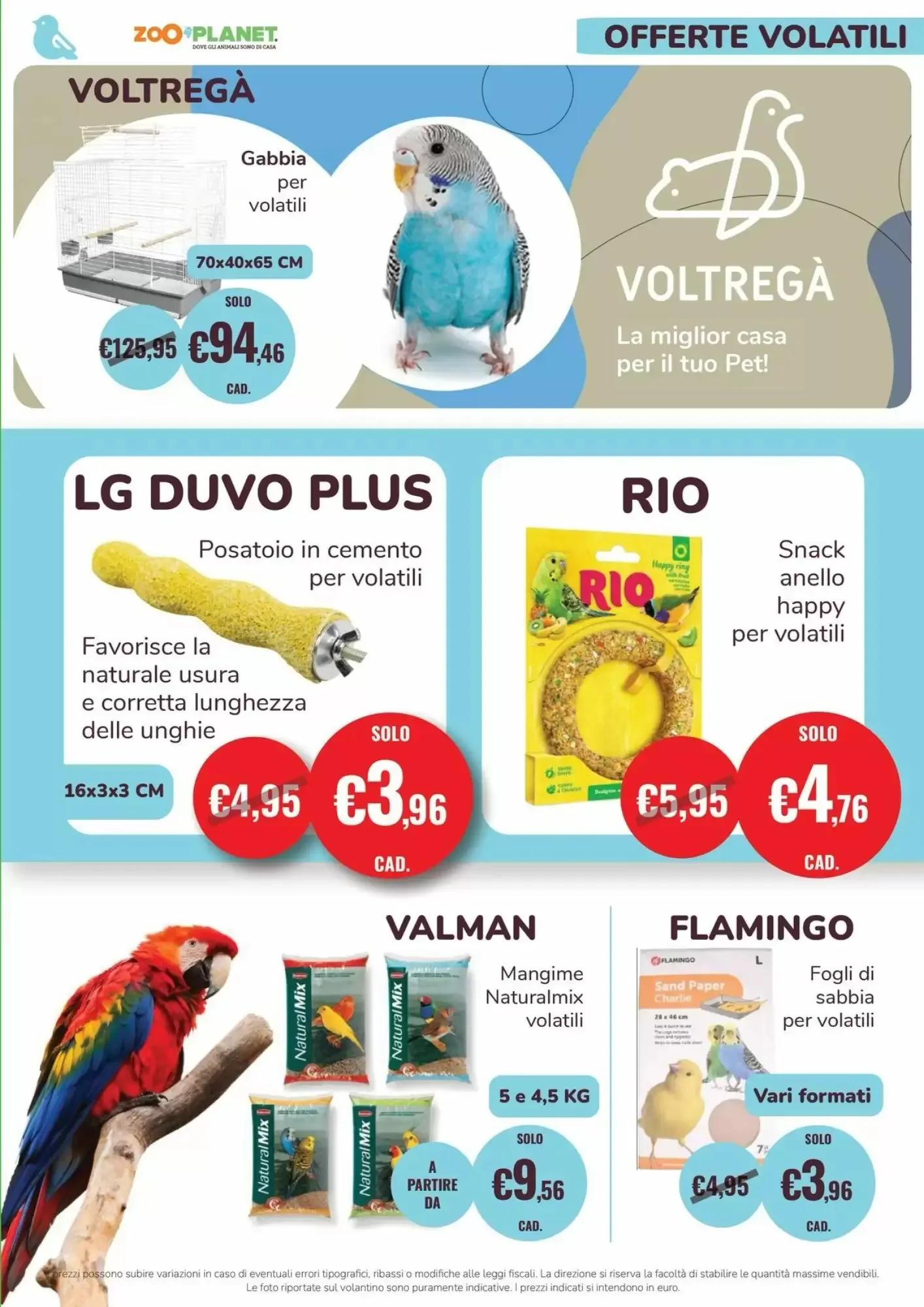 Volantino Zooplanet Volantino Zooplanet pagina 15