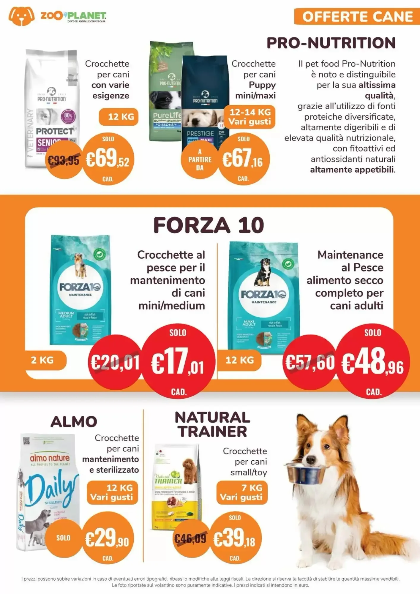 Volantino Zooplanet Volantino Zooplanet pagina 2